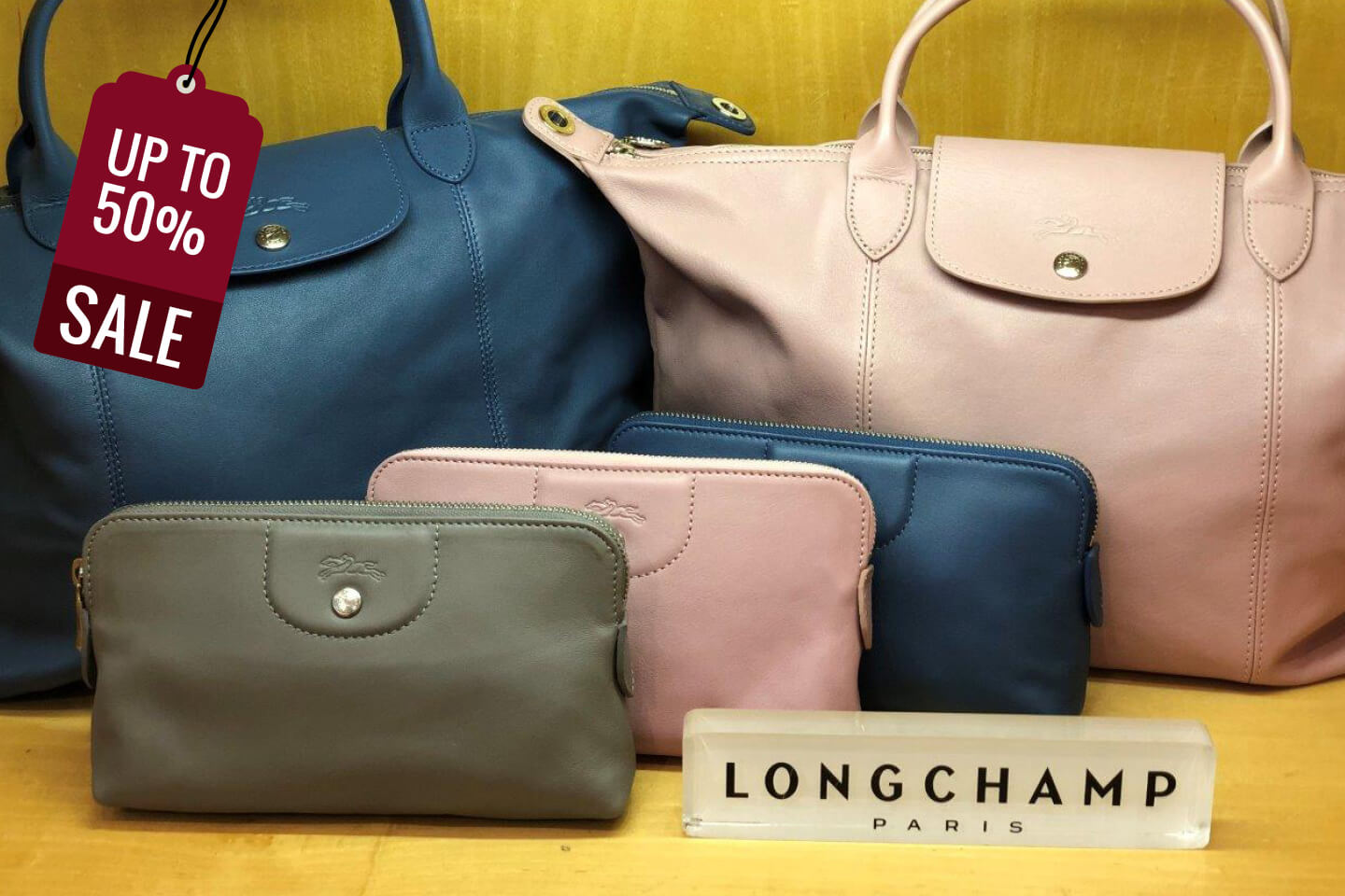 longchamp leather sale